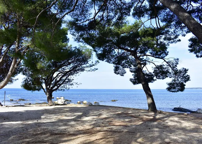 Quiet With Balcony Appartement *